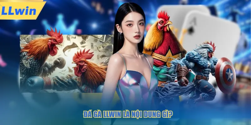 Đá gà LLWIN là nội dung gì