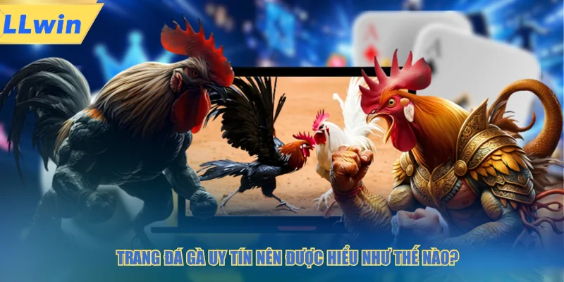 Trang đá gà uy tín nên được hiểu như thế nào