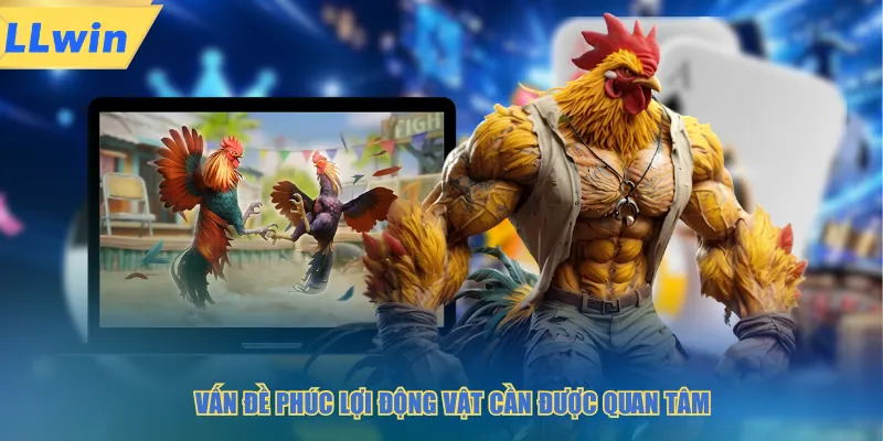 Vấn đề phúc lợi động vật cần được quan tâm